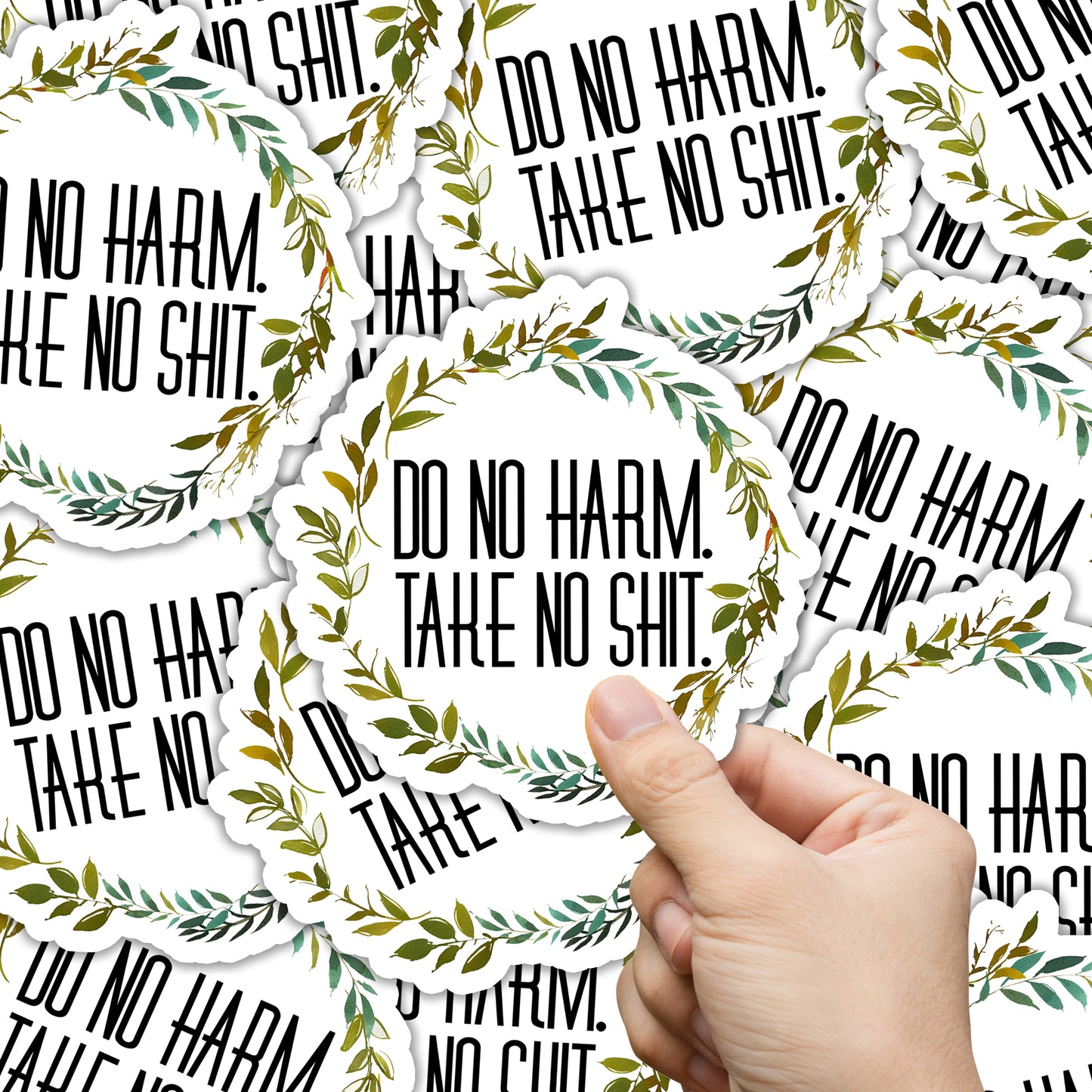 Do No Harm Take No Shit Sticker