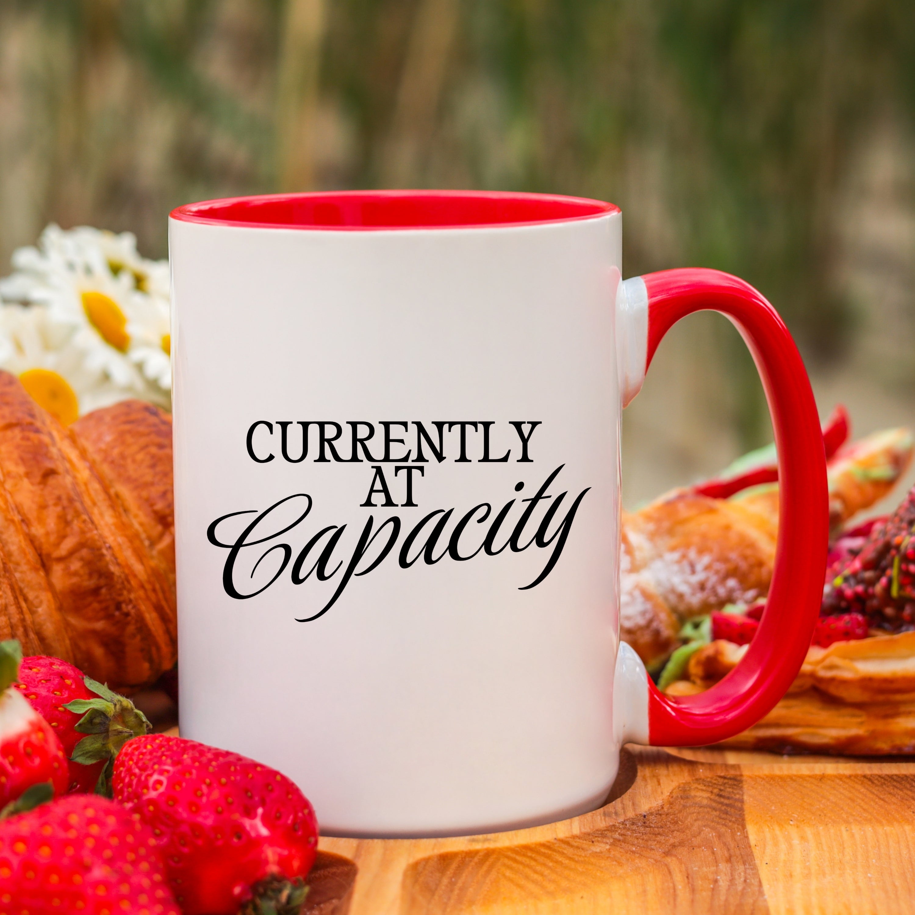 Currently at Capacity Mug