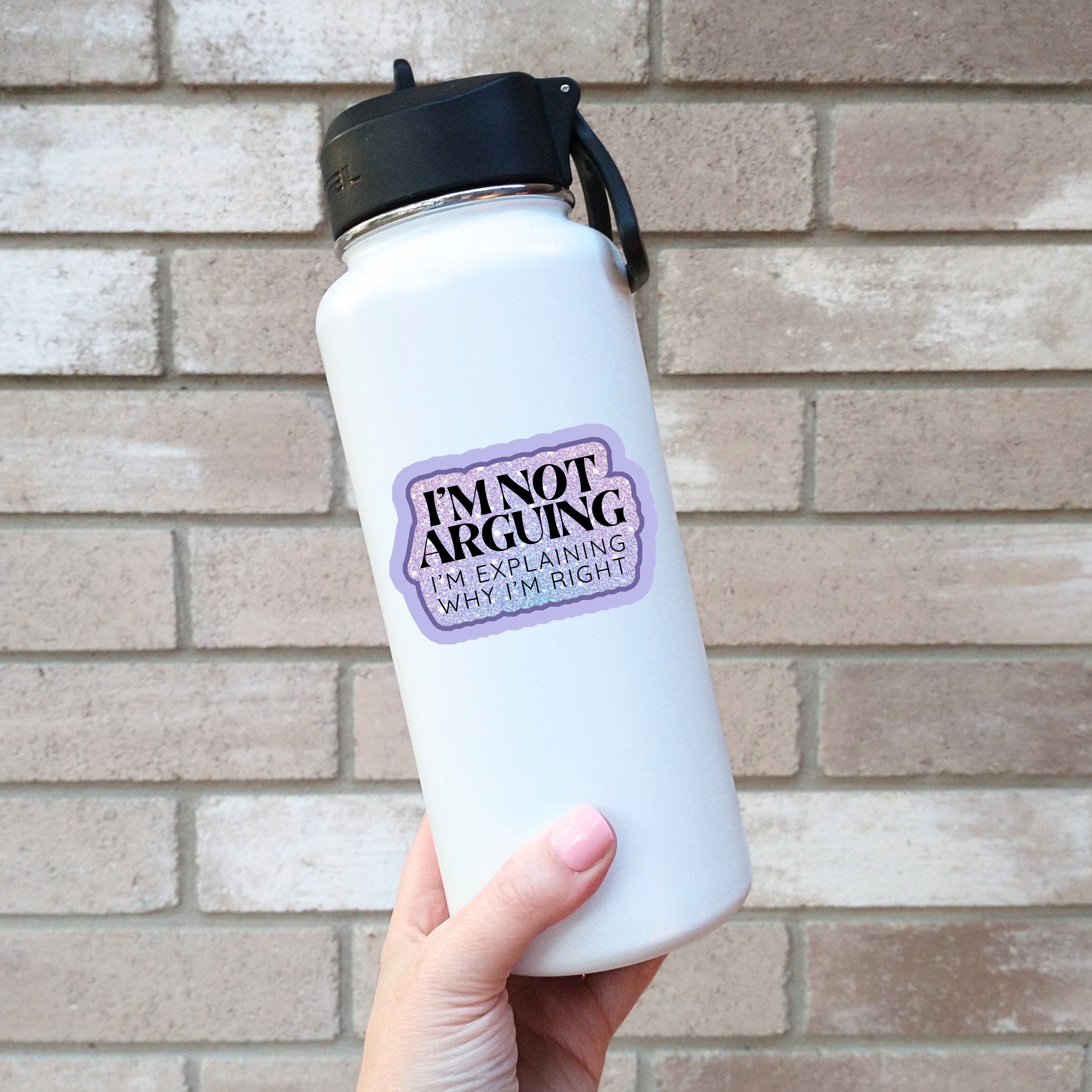 I'm Not Arguing Sticker