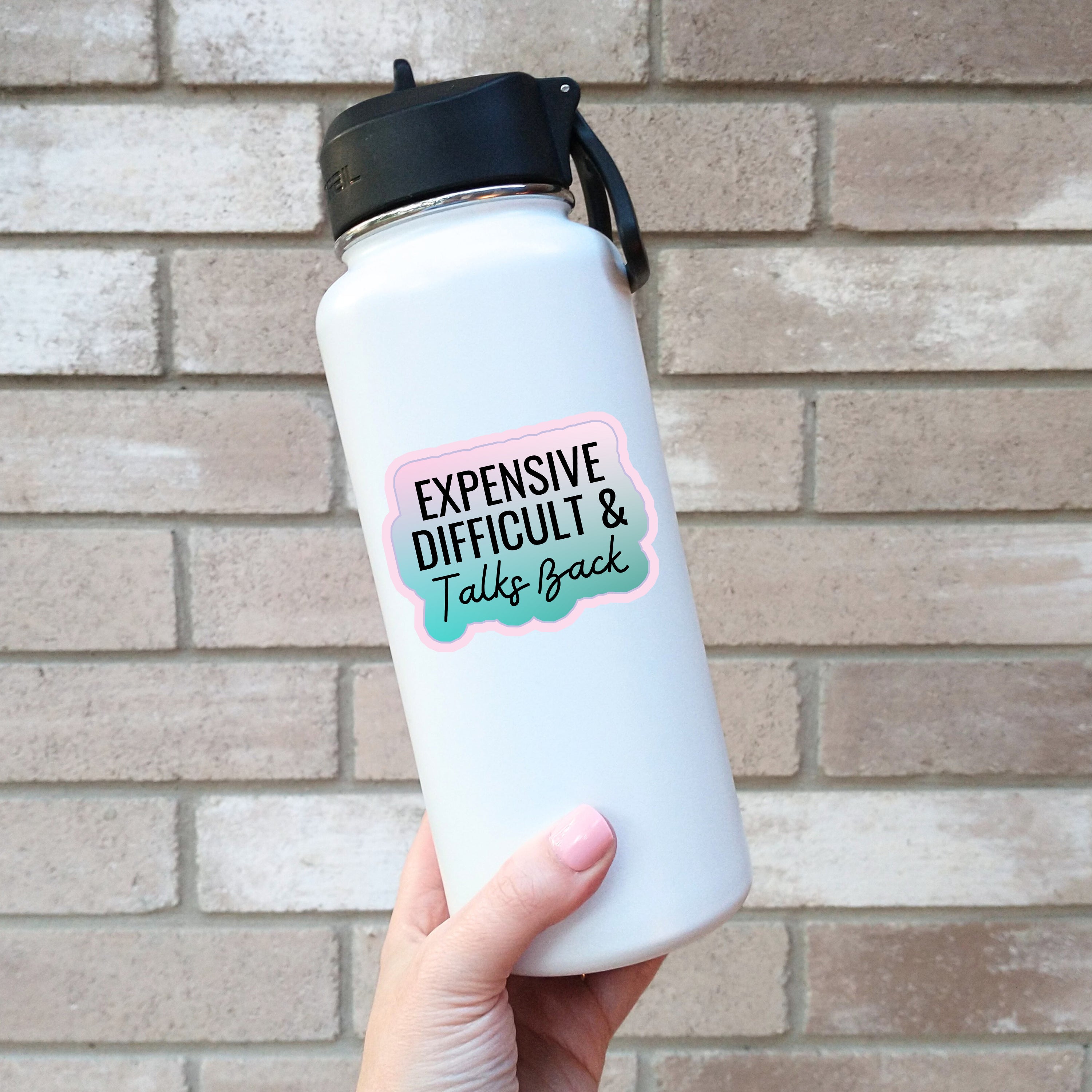 Expensive Difficult & Talks Back Sticker