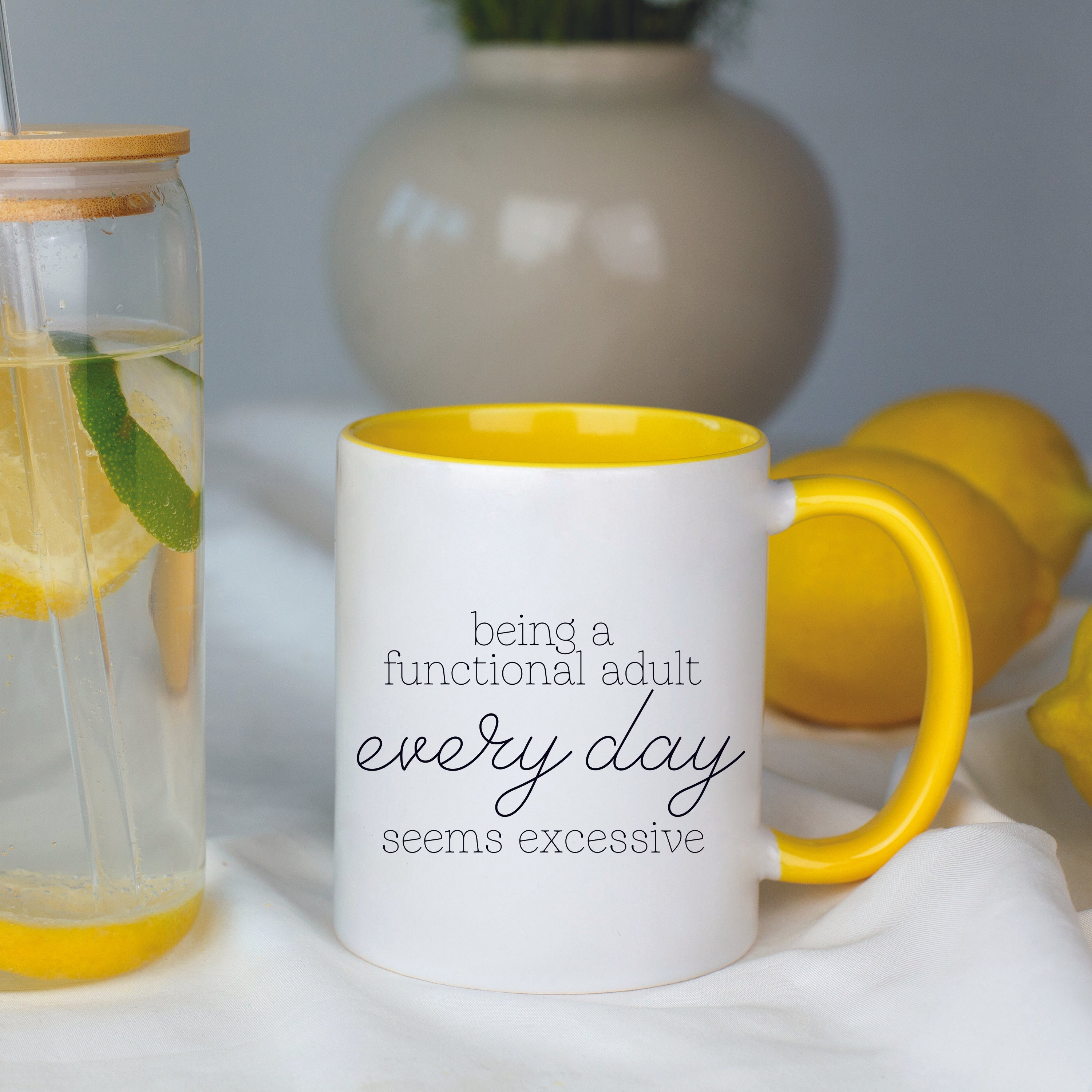 Being a Functional Adult Every day Seems Excessive Mug