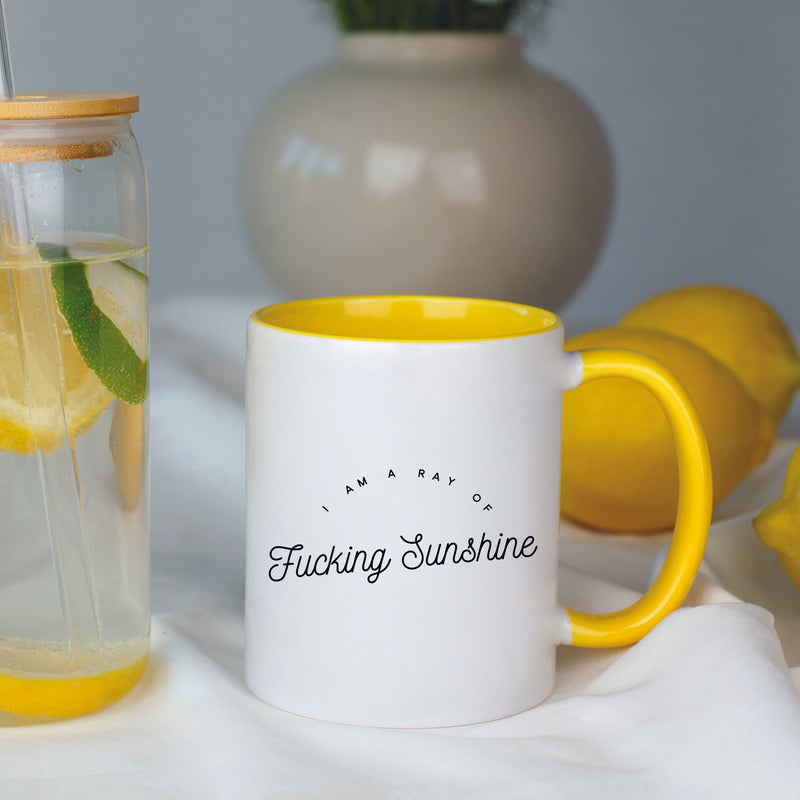 I am a Ray of Fucking Sunshine Mug