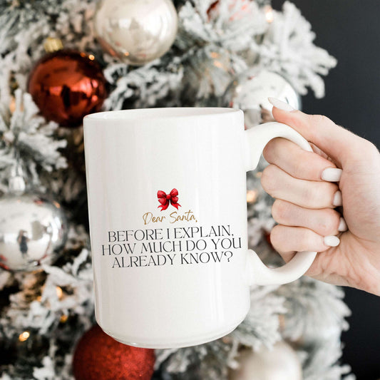 Dear Santa, Before I Explain Mug